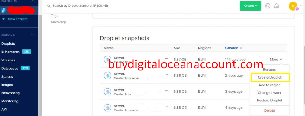Digitalocean Account Buy