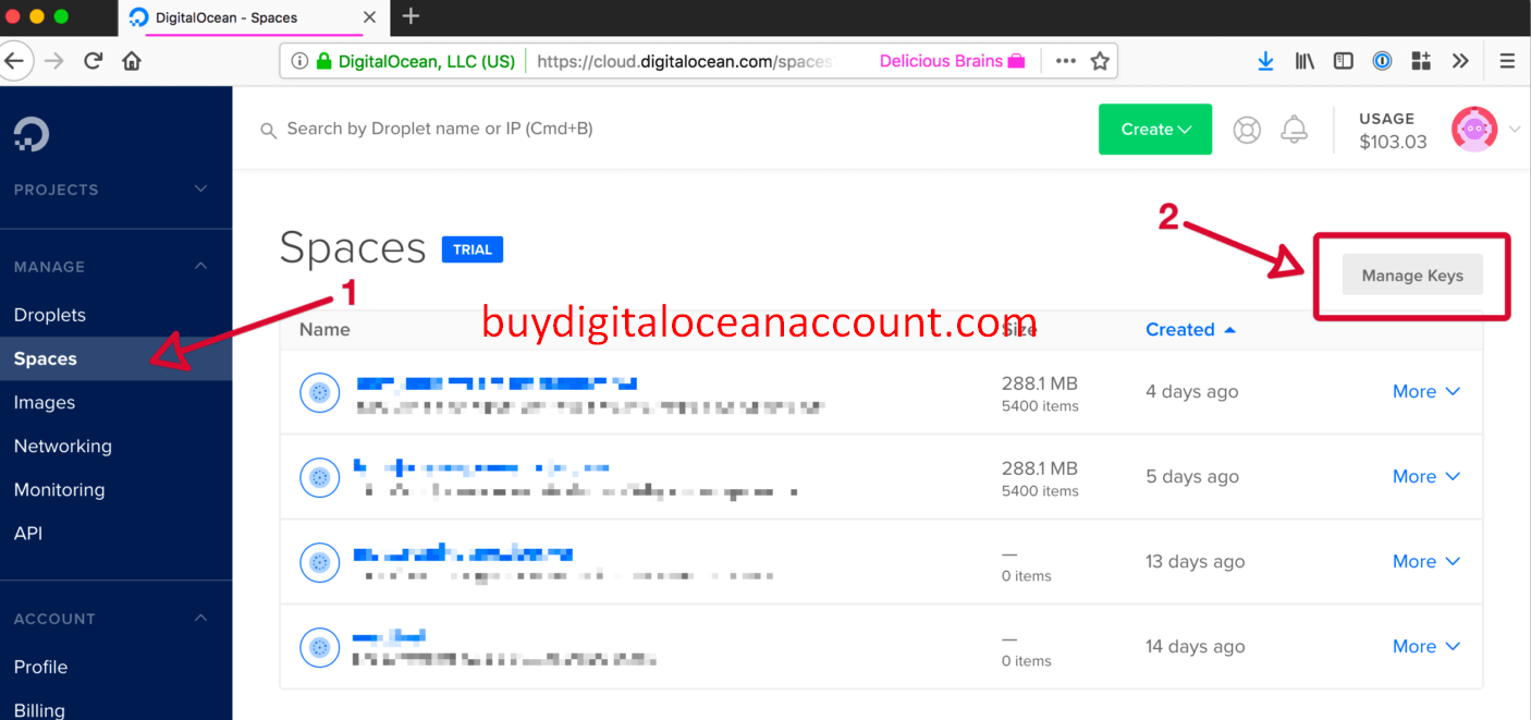 digitalocean account for sale
